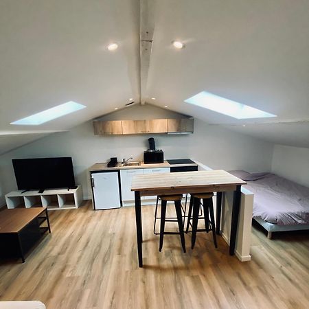 Apartament L'Echappee Belle D'Albi Zewnętrze zdjęcie